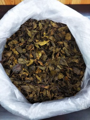 249 special fermentation