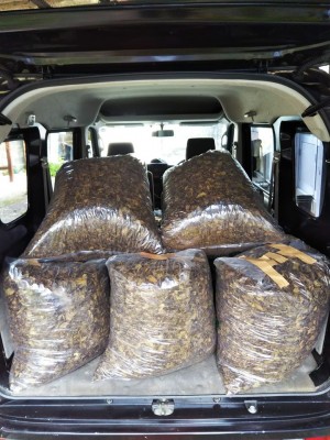 2020新茶買取開始