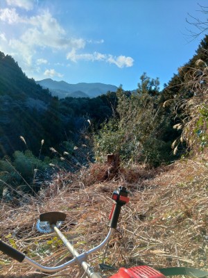 .trashed-1647589395-KIMG0038