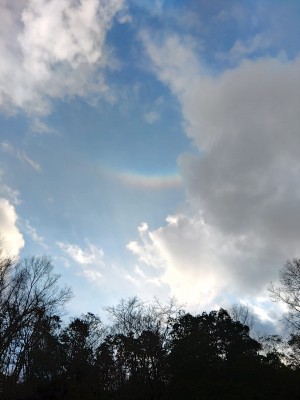 317938361_467237422272079_3565321629253350524_n