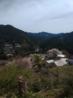 FIdrpq7umfPcSay-UZCV3b01HoGavNbcf9GzuKvzqZFIZdAYepY8yaBBAFVKBmsrWrxwQSZKo5tf74TcBuVtb5s6Ebm3eYnfYRq3_miuVA62OwjVSWxJsPX5CstwU3dRQQq1-WG3eFy_I7uXKcbEYg==