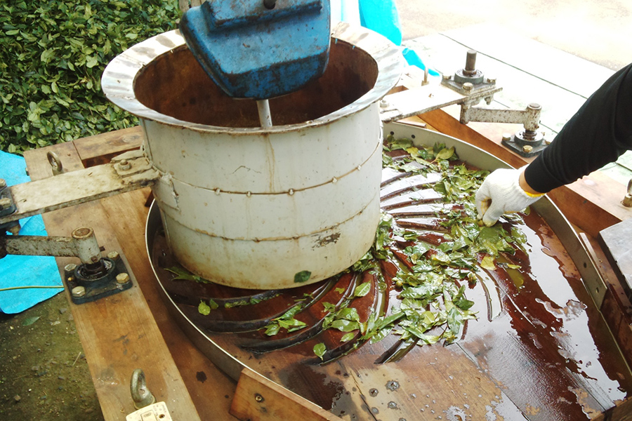 1ed0caa462232ac36ac2b437dbf0a90e