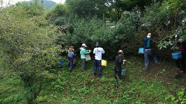 スクリーンショット 2026-03-31 174355