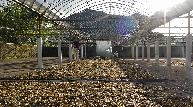 スクリーンショット 2026-03-31 180040