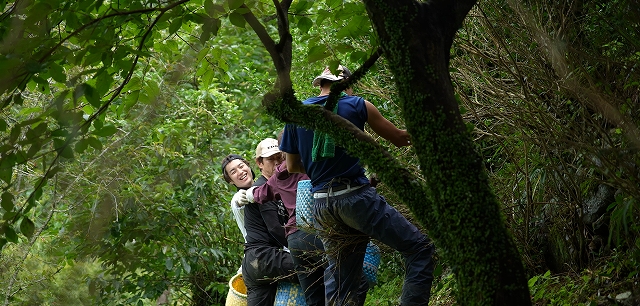 スクリーンショット 2026-03-31 174315