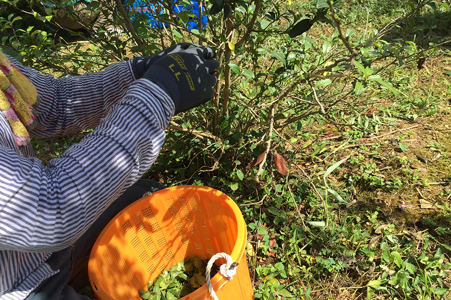 96e9ccc13ba4cf124cbc4bc669e65033