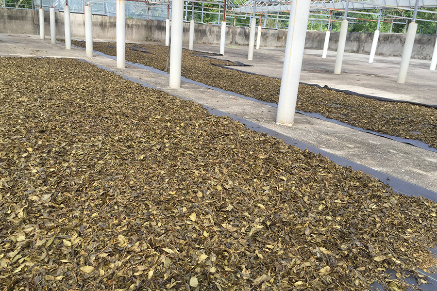 cac2ee6ae41961587547c2fbfb2b3835