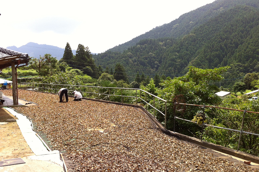 e2559c768f91e2b721938d29d60a266e