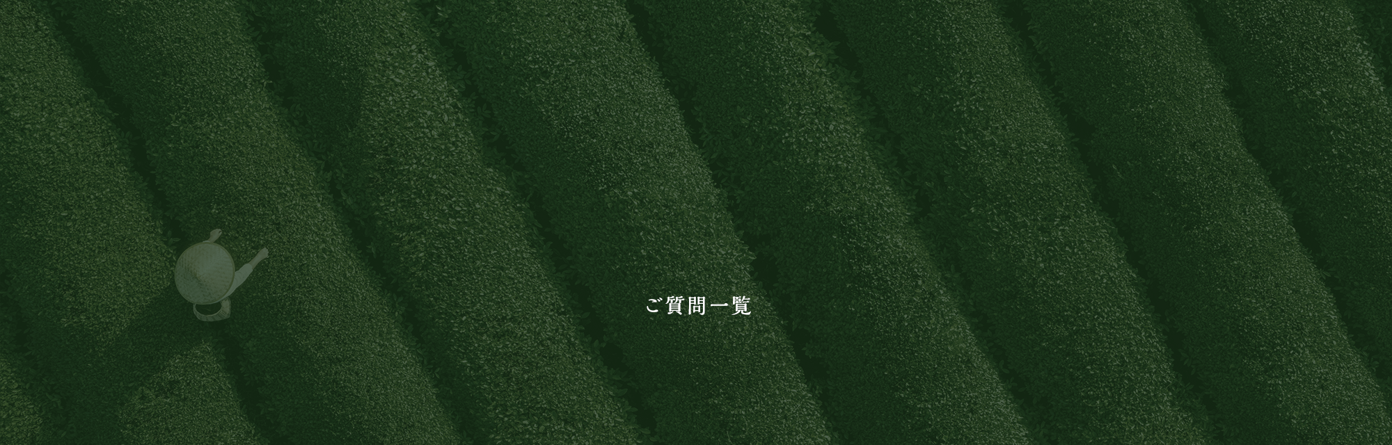 ご質問一覧