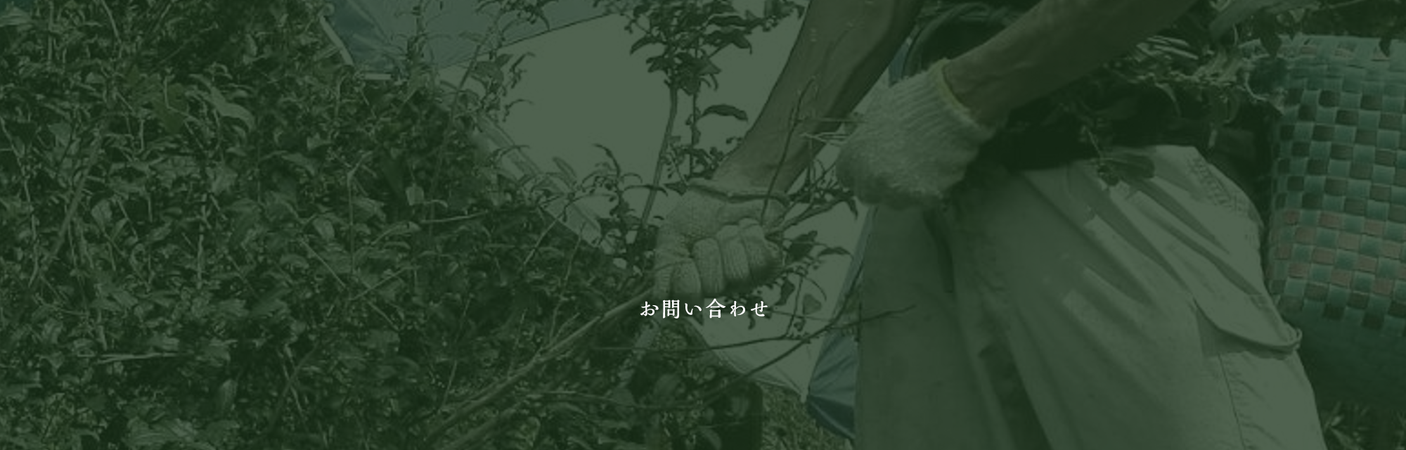 お問い合わせ