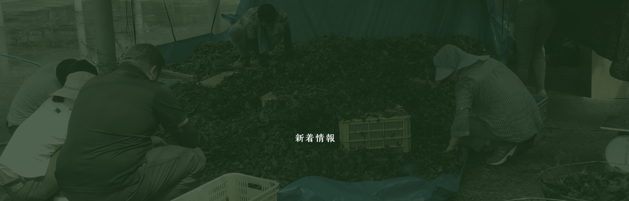 オフィシャルブログ