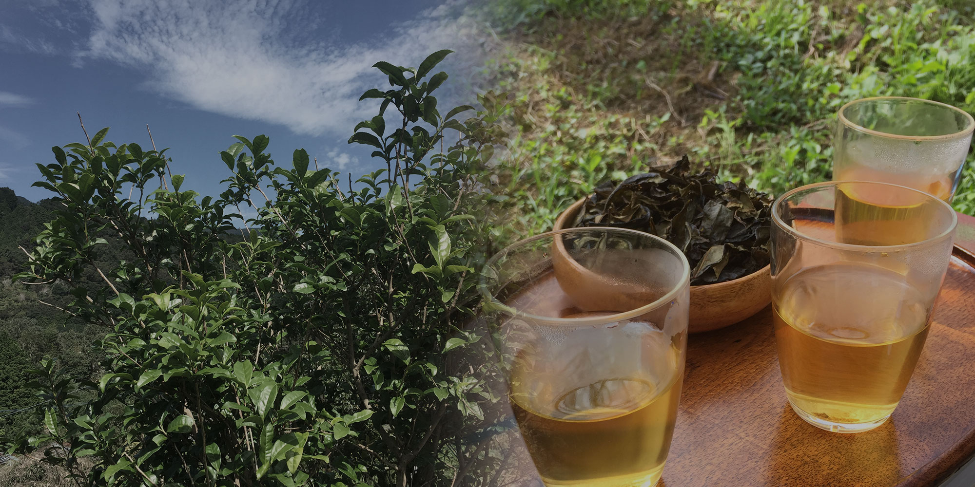 発酵がつくる、やさしい一杯