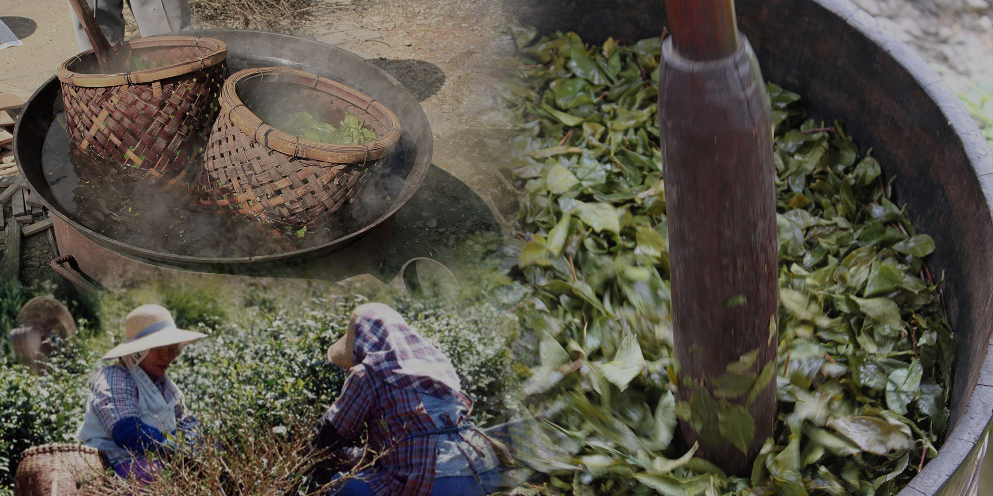 徳島県上勝町の風土が生み出す、伝統の発酵茶