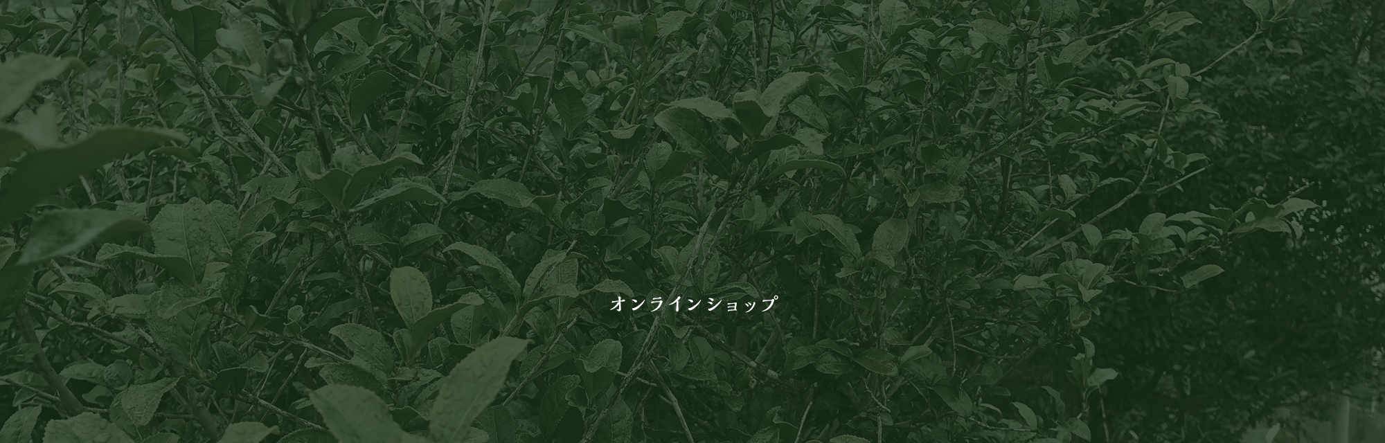 オンラインショップ