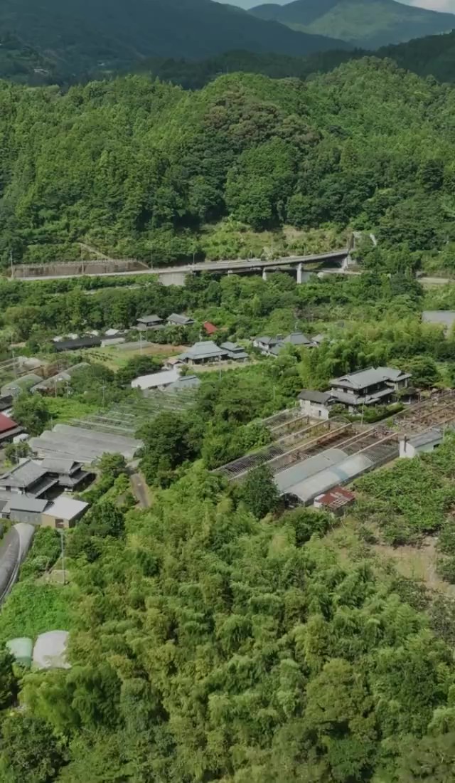 徳島県上勝郡|阿波晩茶・乳酸発酵茶の通販は『Kamikatsu-TeaMate』